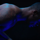 Screenshot: 'Moonlight' By Alvin Ailey American Dance Theater